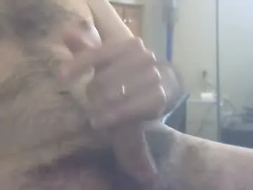 don_quixote3 Image 4