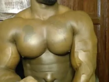 musclegodsammy23 Image 13