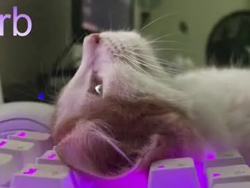 pambeeslyy's Thumb Image