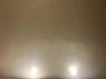 rotteei1's Thumb Image