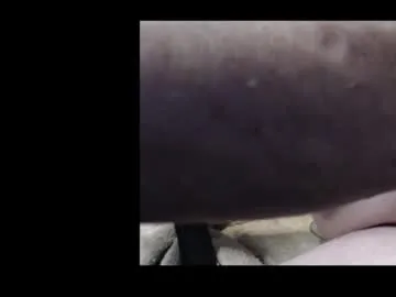 spider19752020 Image 10